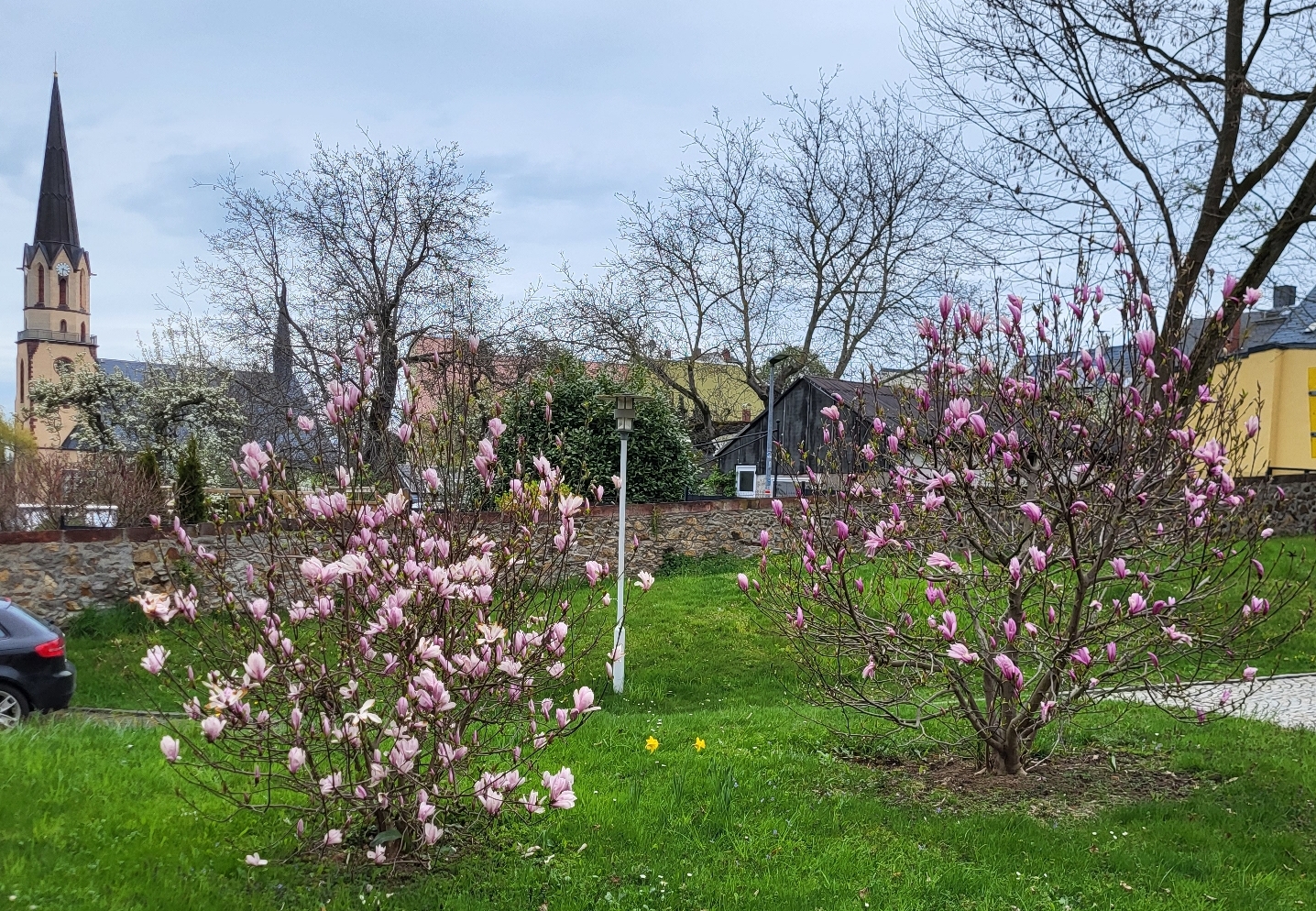 2023_Altenpflegeheim Burgstädt (2).jpg ASB Pflegeheim Burgstädt: Garten