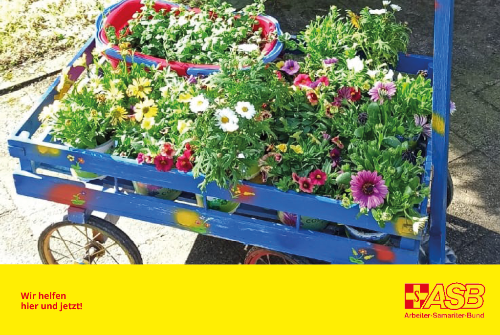 Blumen für die Balkone
