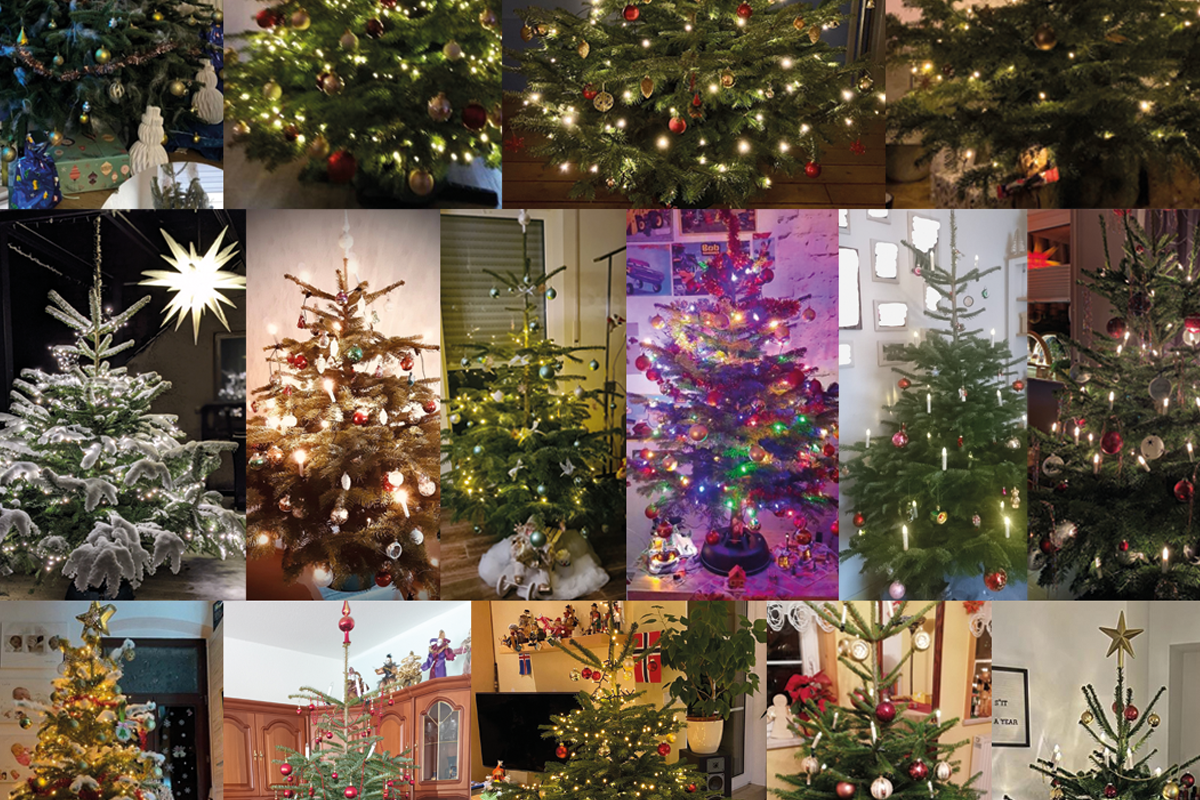 2022_01_27_weihnachtsbaumauswertung.png